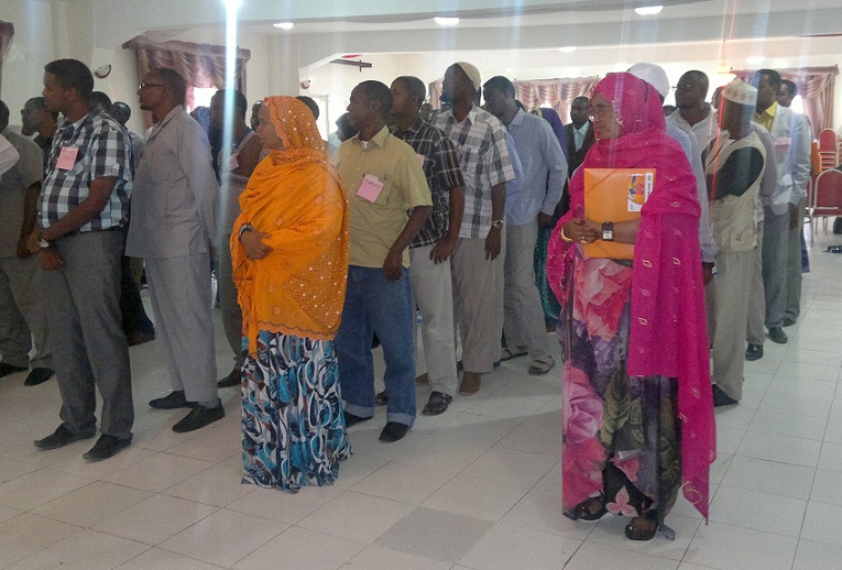 sanitation in somaliland