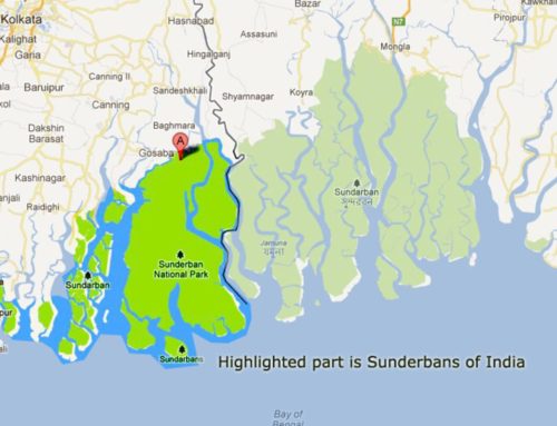 CLTS Foundation’s field visit to Bali Islands, Sundarbans in West Bengal, India