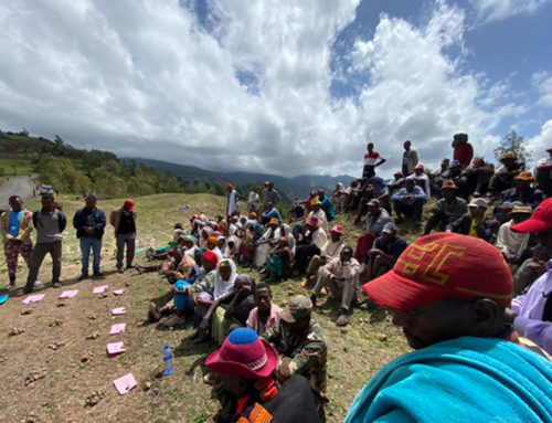 Community Led Total Adoption of Improved Cook Stoves – Arba Minch, Ethiopia.