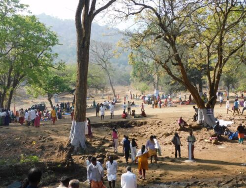 Open defecation in Mudumalai’s rivers during temple festivals poses a risk to wildlife: conservationists